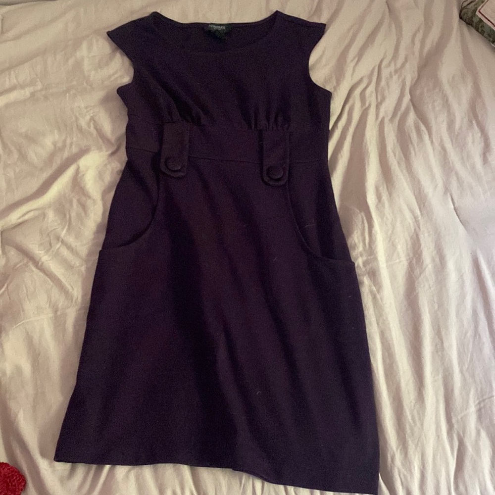 Alyn Paige New York Purple Professional Dress with Pockets